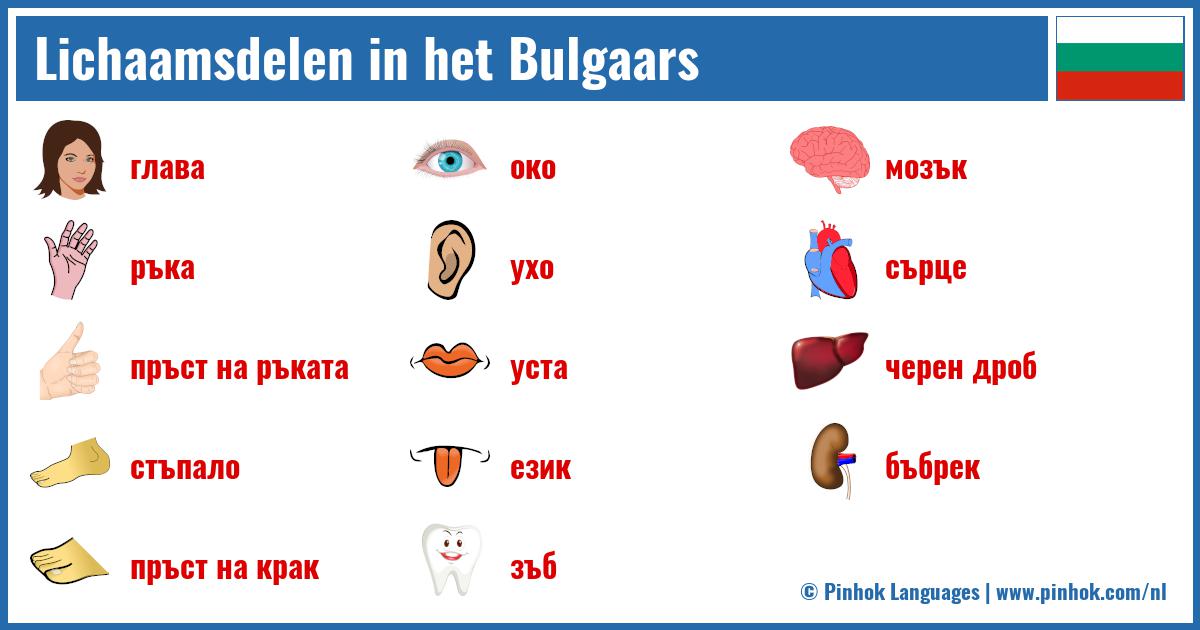 Lichaamsdelen in het Bulgaars