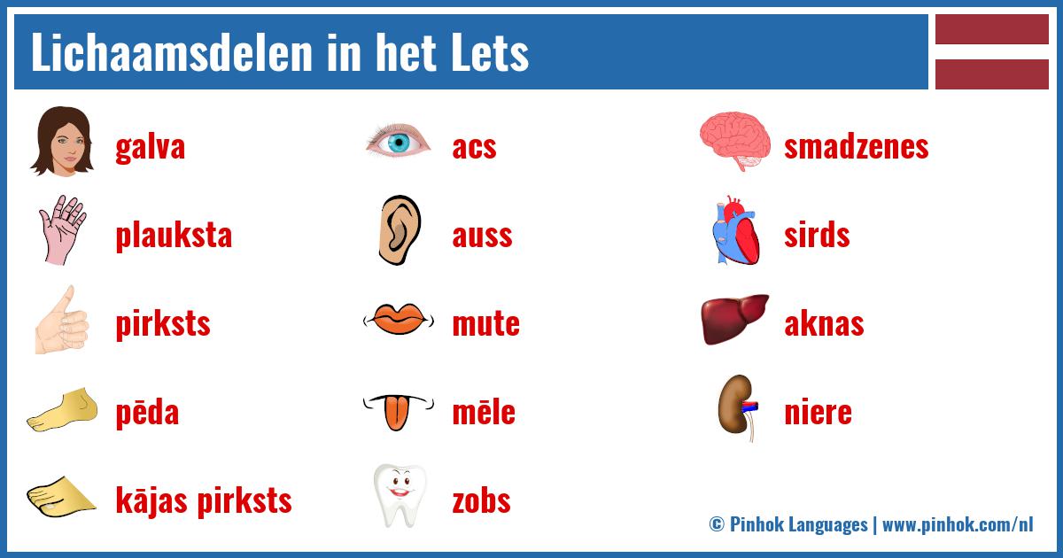 Lichaamsdelen in het Lets