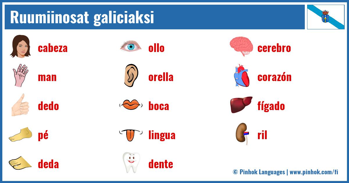 Ruumiinosat galiciaksi