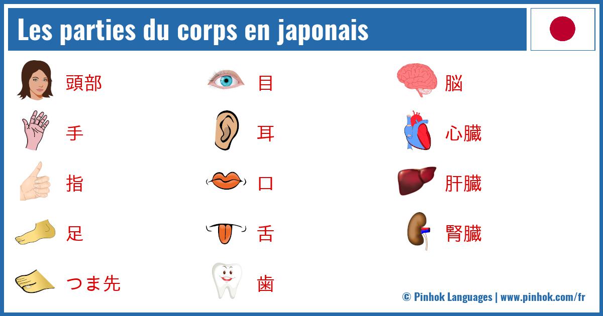 Les parties du corps en japonais