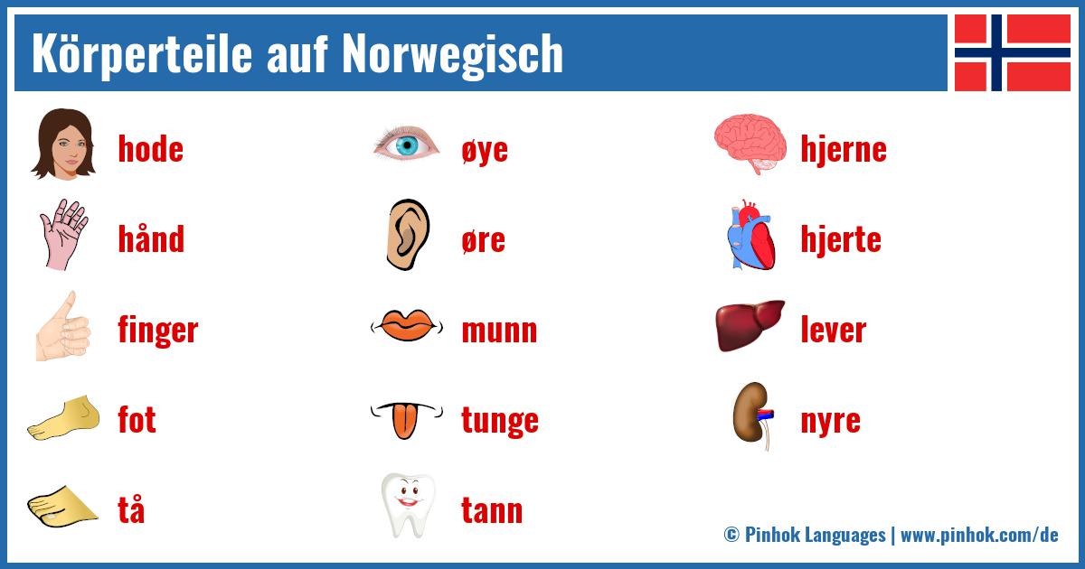 Körperteile auf Norwegisch