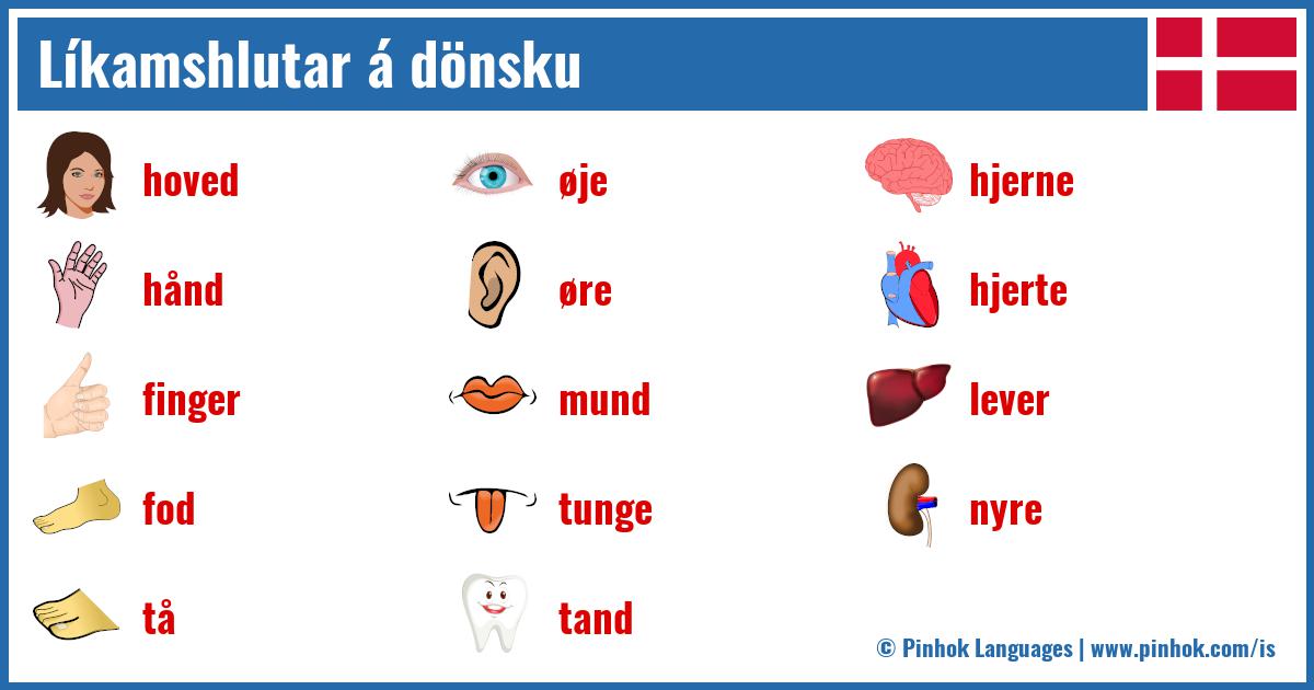 Líkamshlutar á dönsku