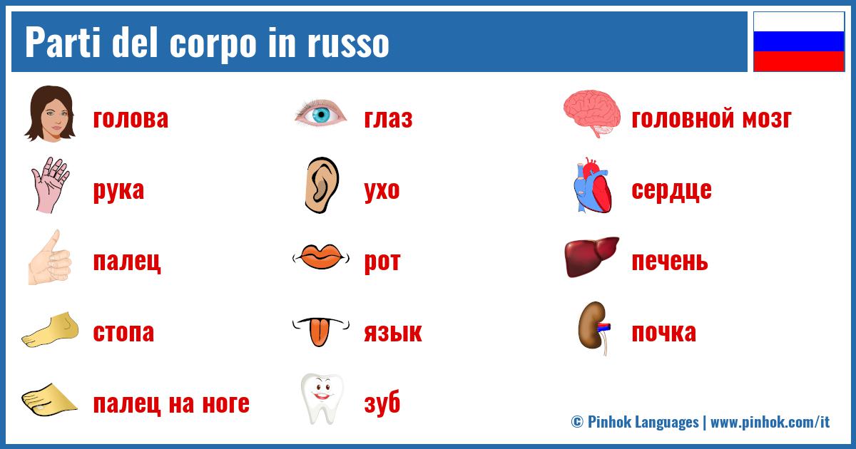 Parti del corpo in russo