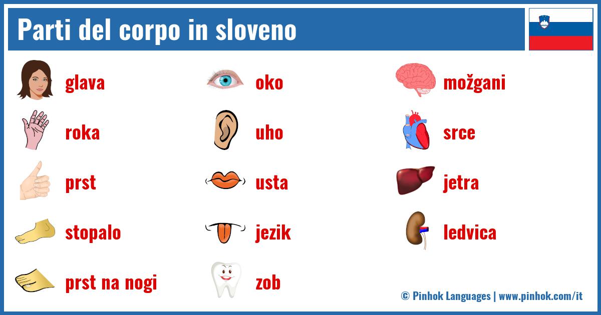 Parti del corpo in sloveno