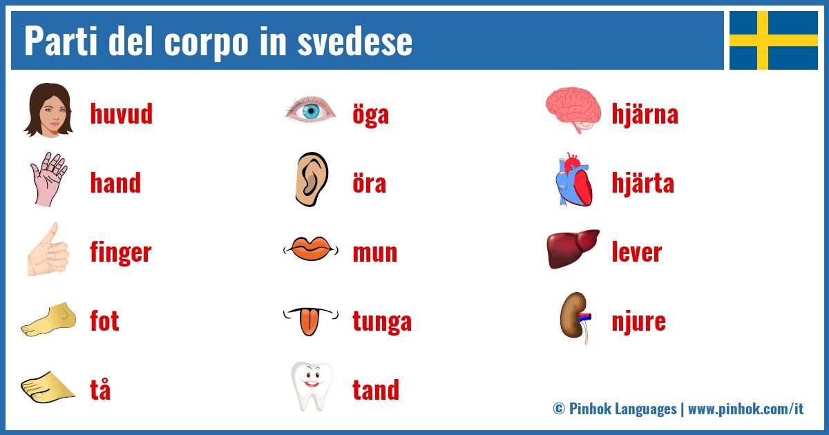 Parti del corpo in svedese