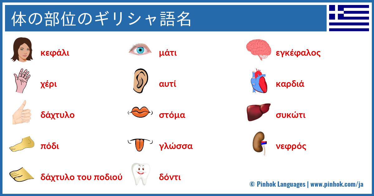 体の部位のギリシャ語名