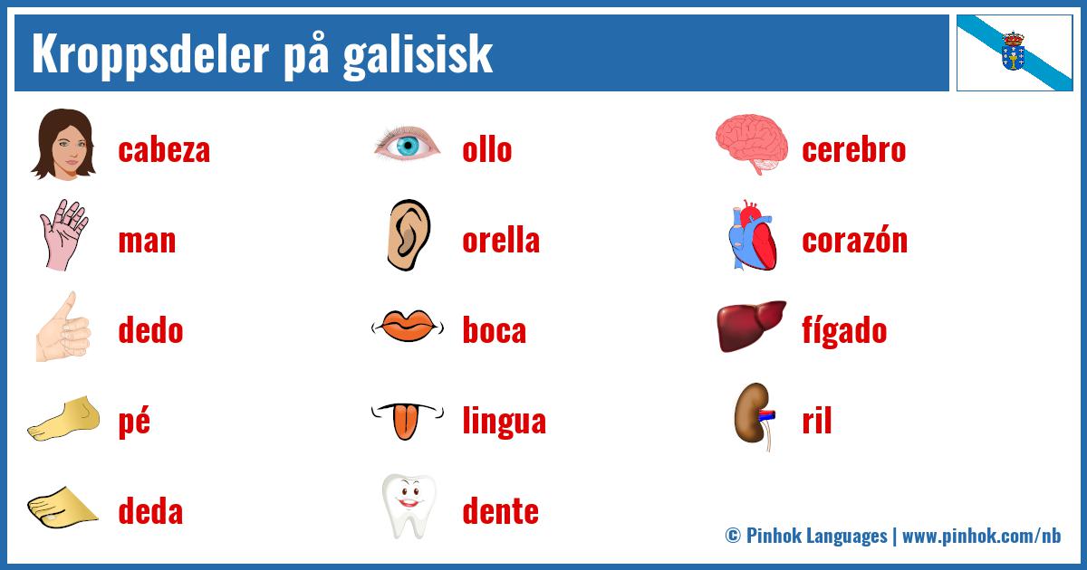 Kroppsdeler på galisisk