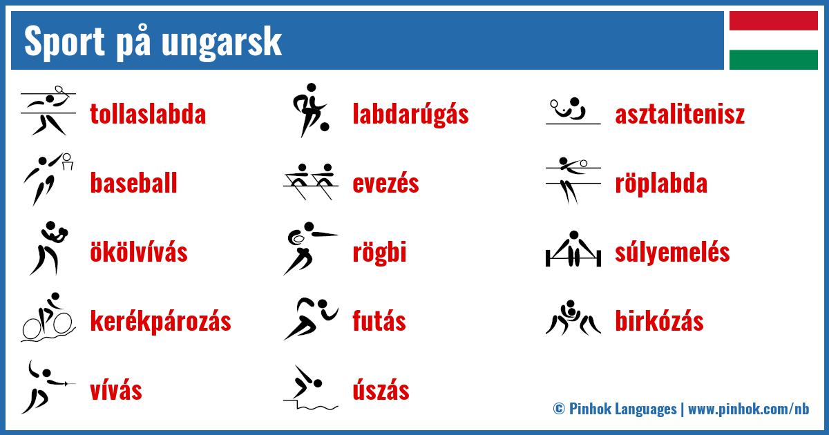 Sport på ungarsk