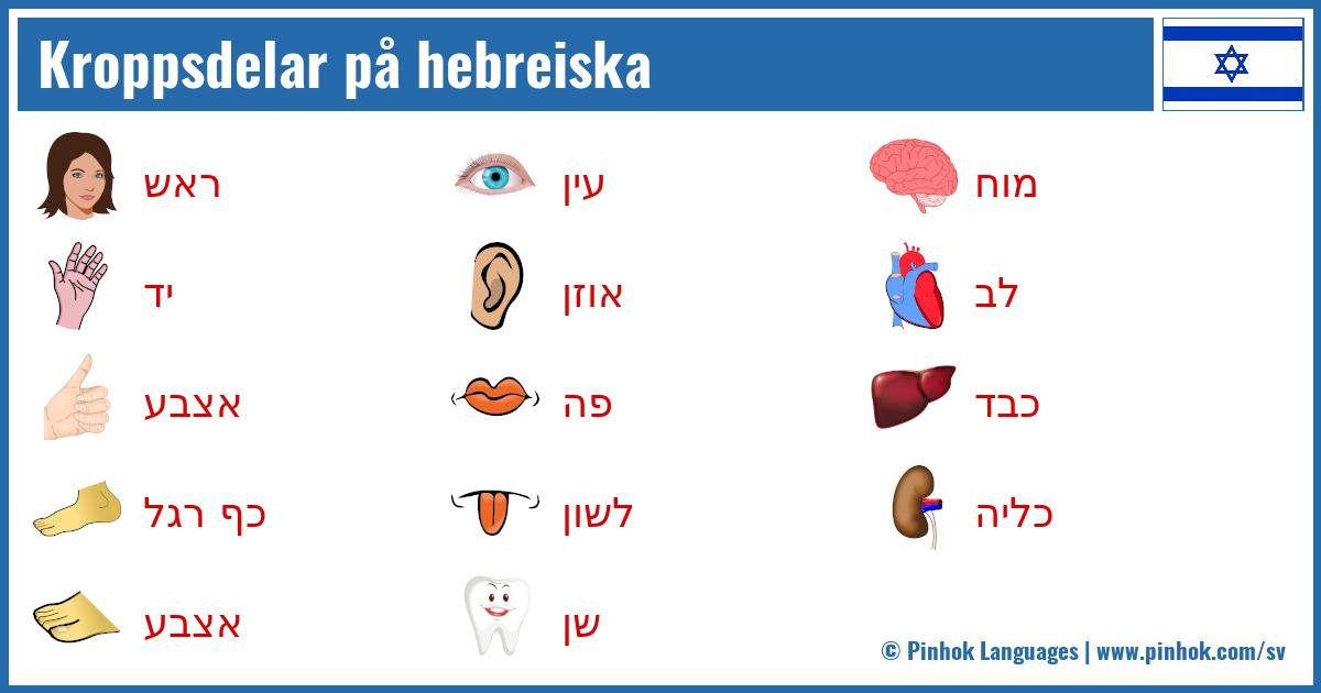 Kroppsdelar på hebreiska