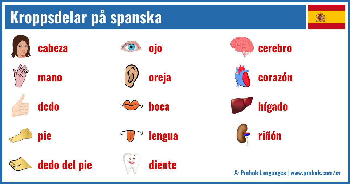 Kroppsdelar på spanska